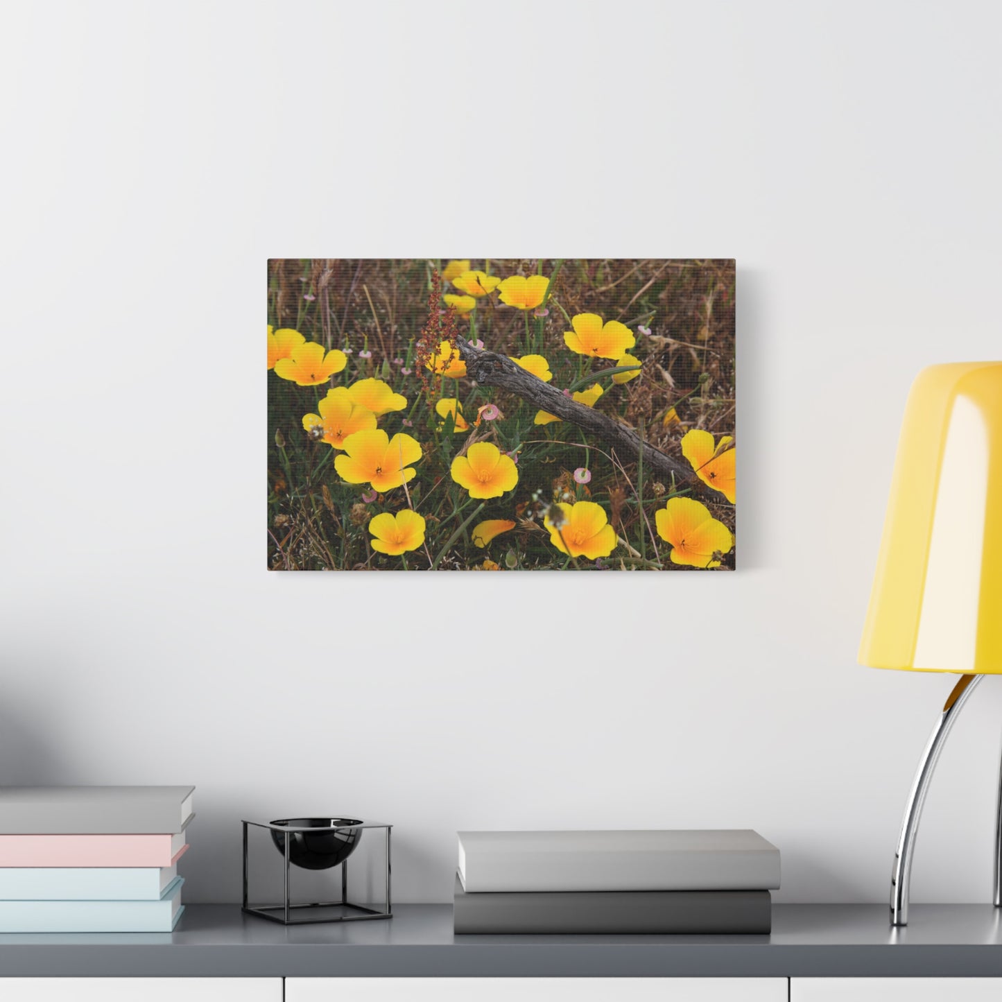 california poppy canvas print