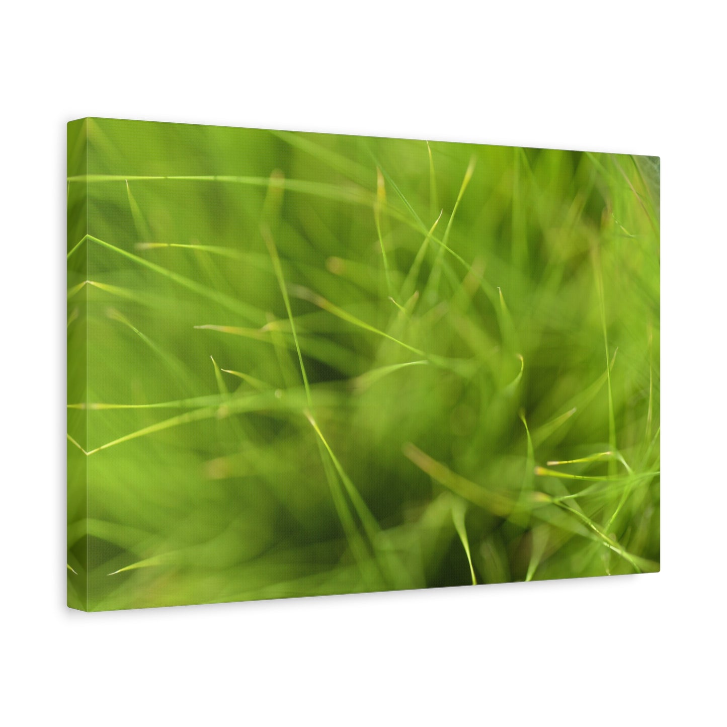 abstract grass canvas print