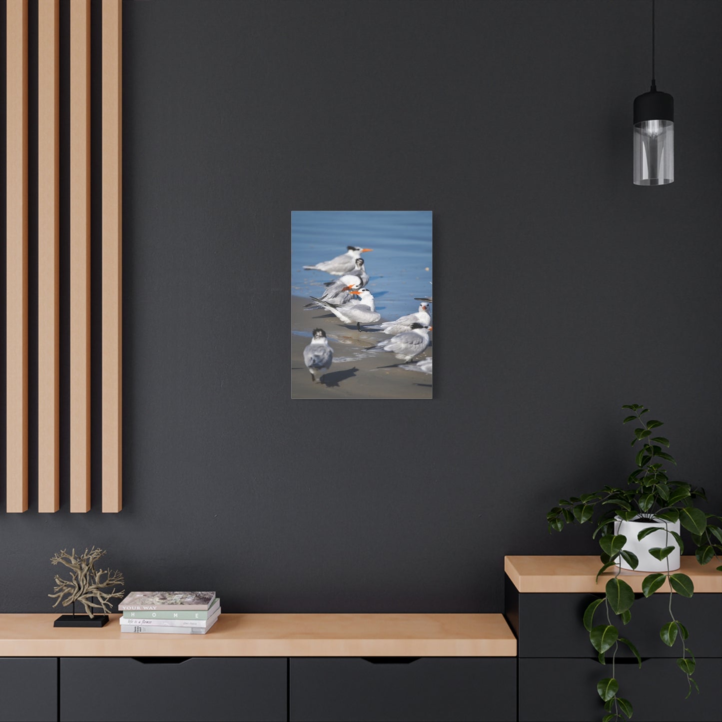 royal terns canvas print