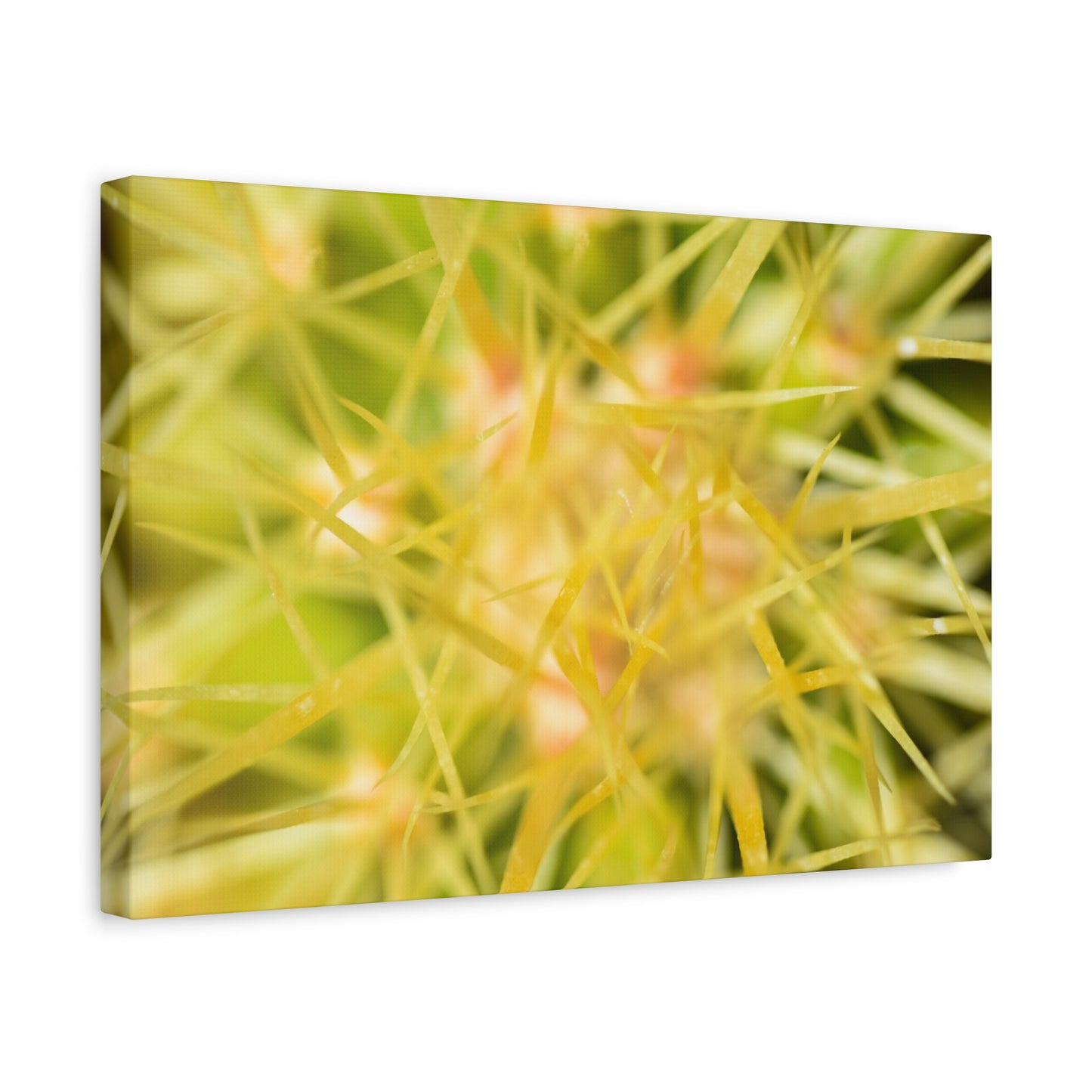 abstract cactus canvas print