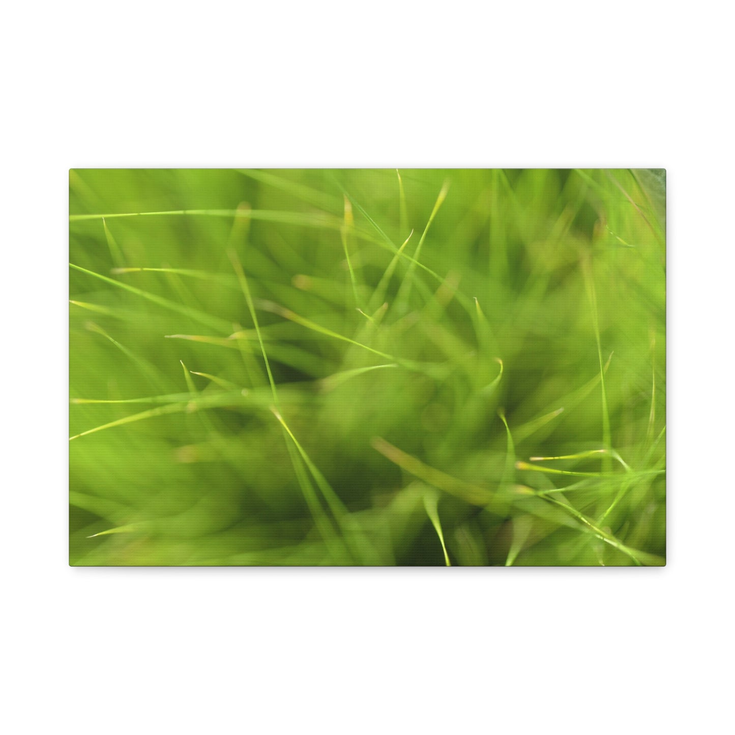 abstract grass canvas print