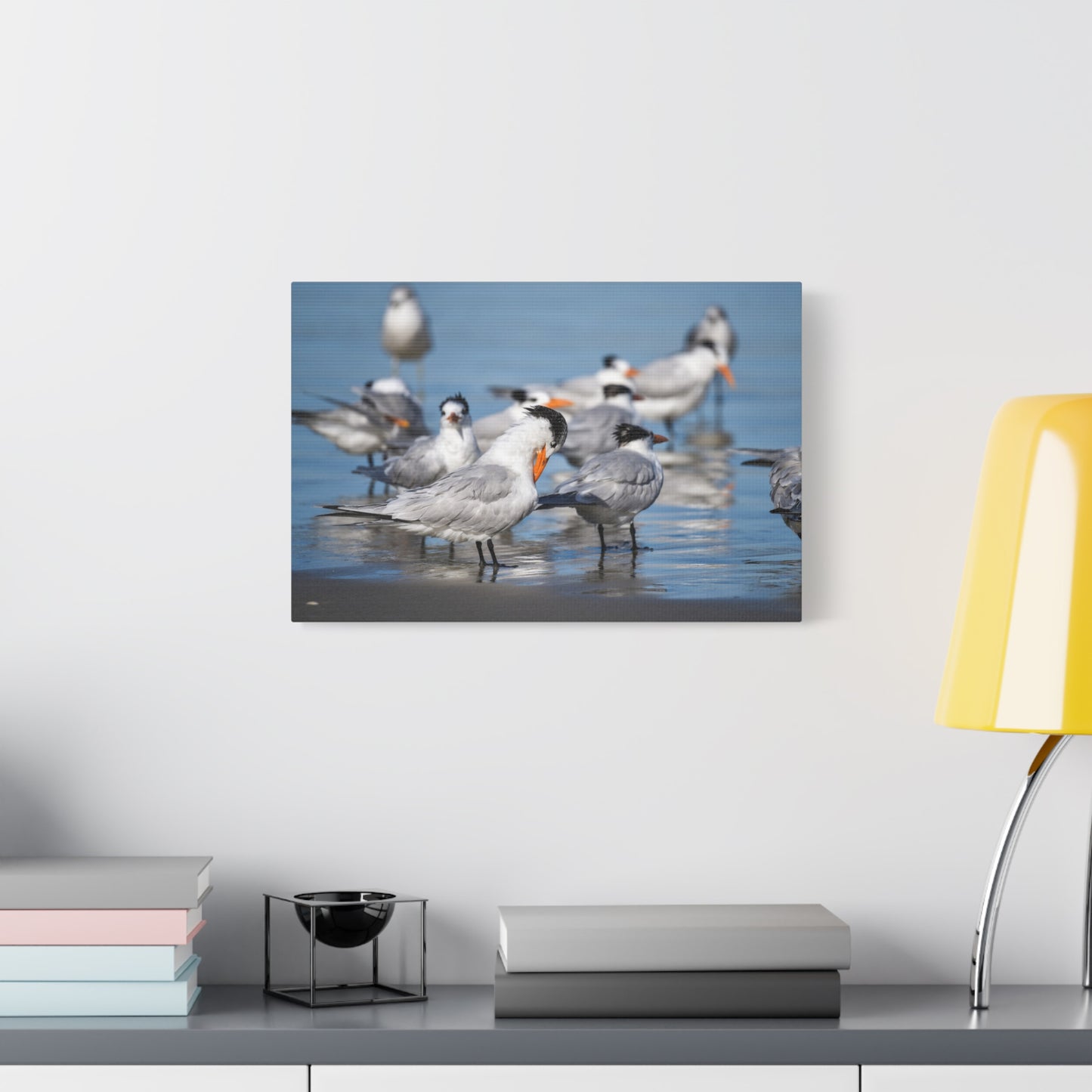royal terns canvas print