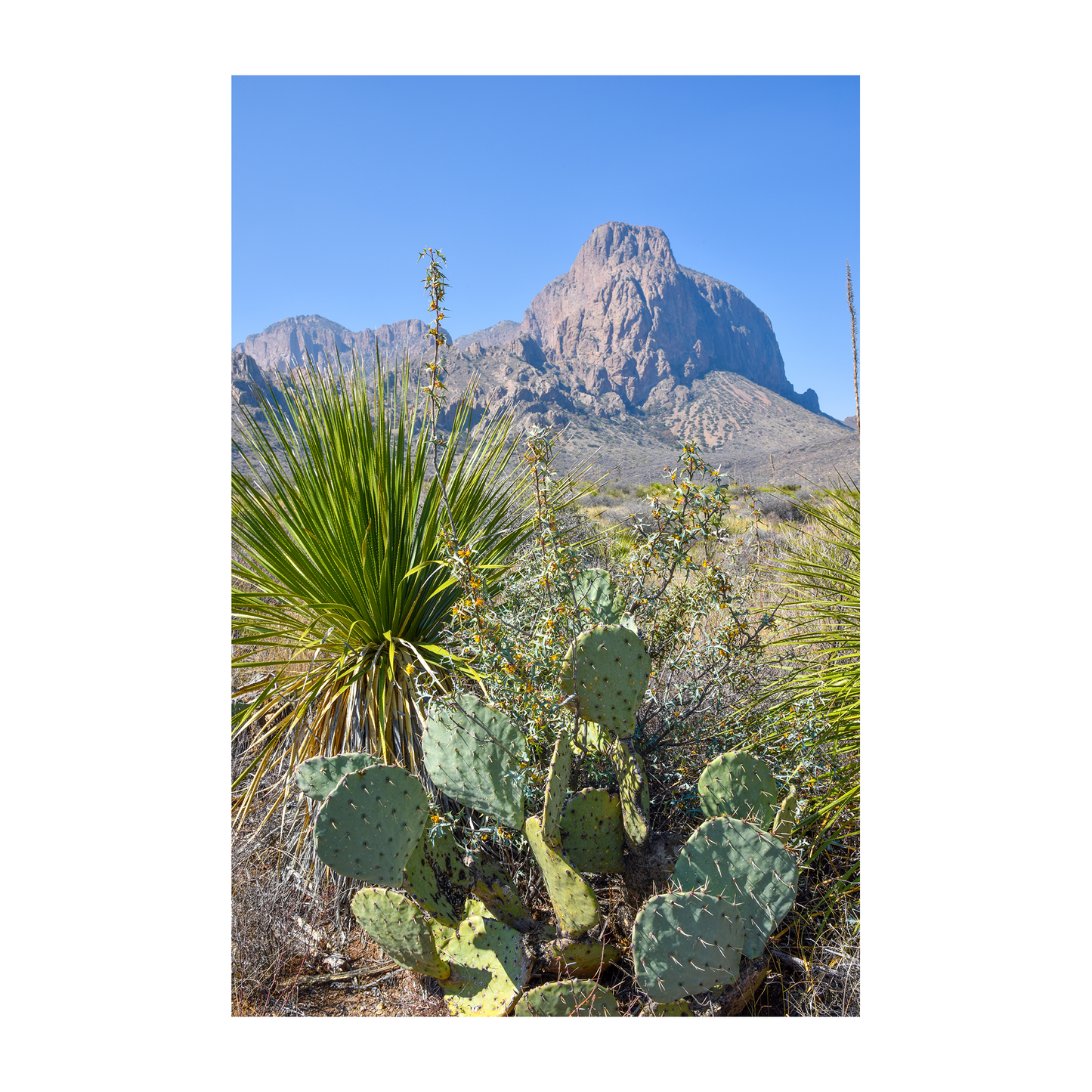 guadalupe mountains archival print