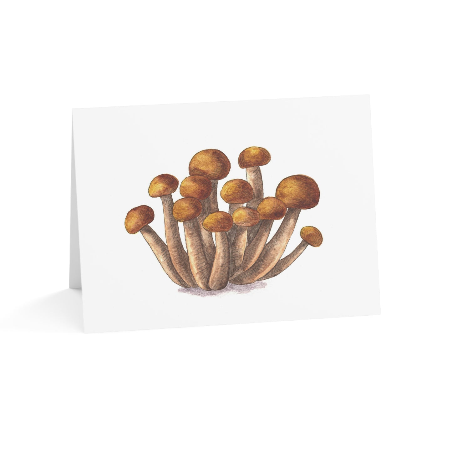 mushroom greeting card - set of 10, 30, or 50