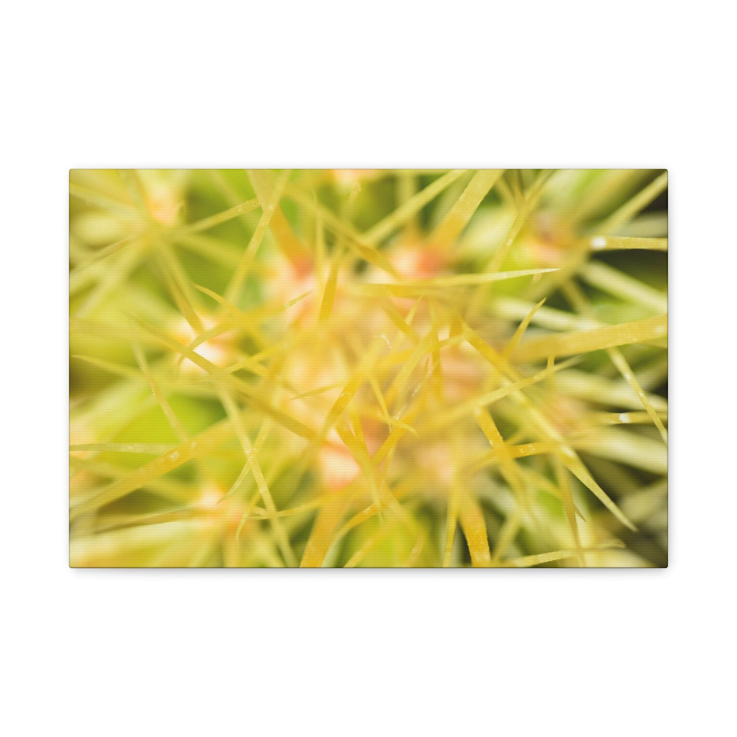 abstract cactus canvas print