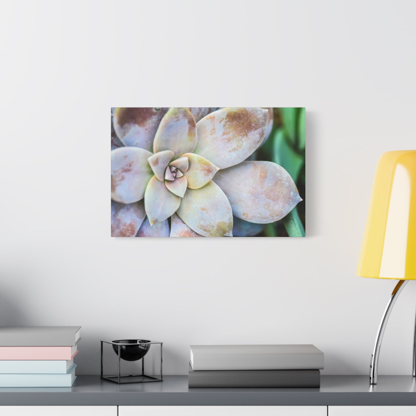morning beauty canvas print
