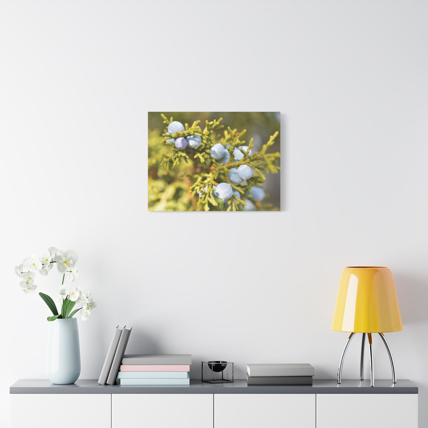 rocky mountain juniper canvas print