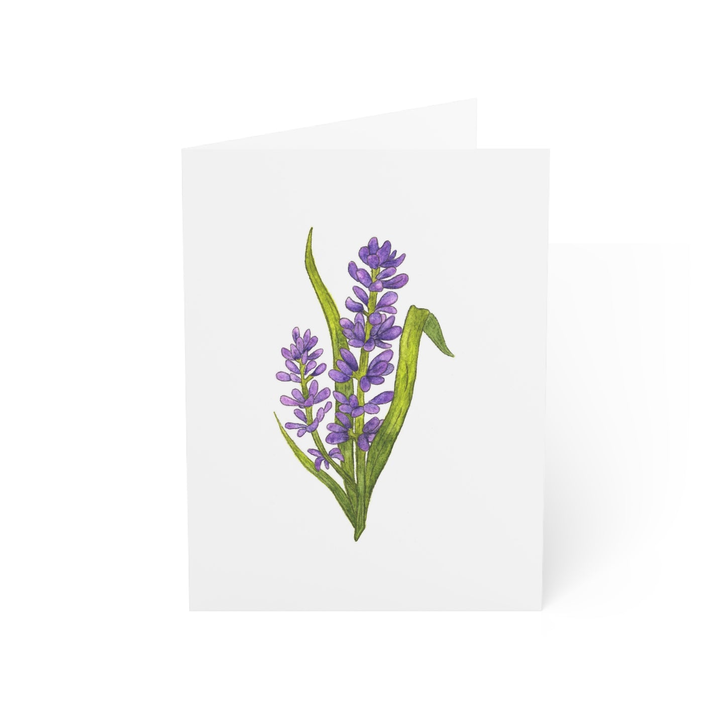 lavender greeting card - set of 10, 30, or 50