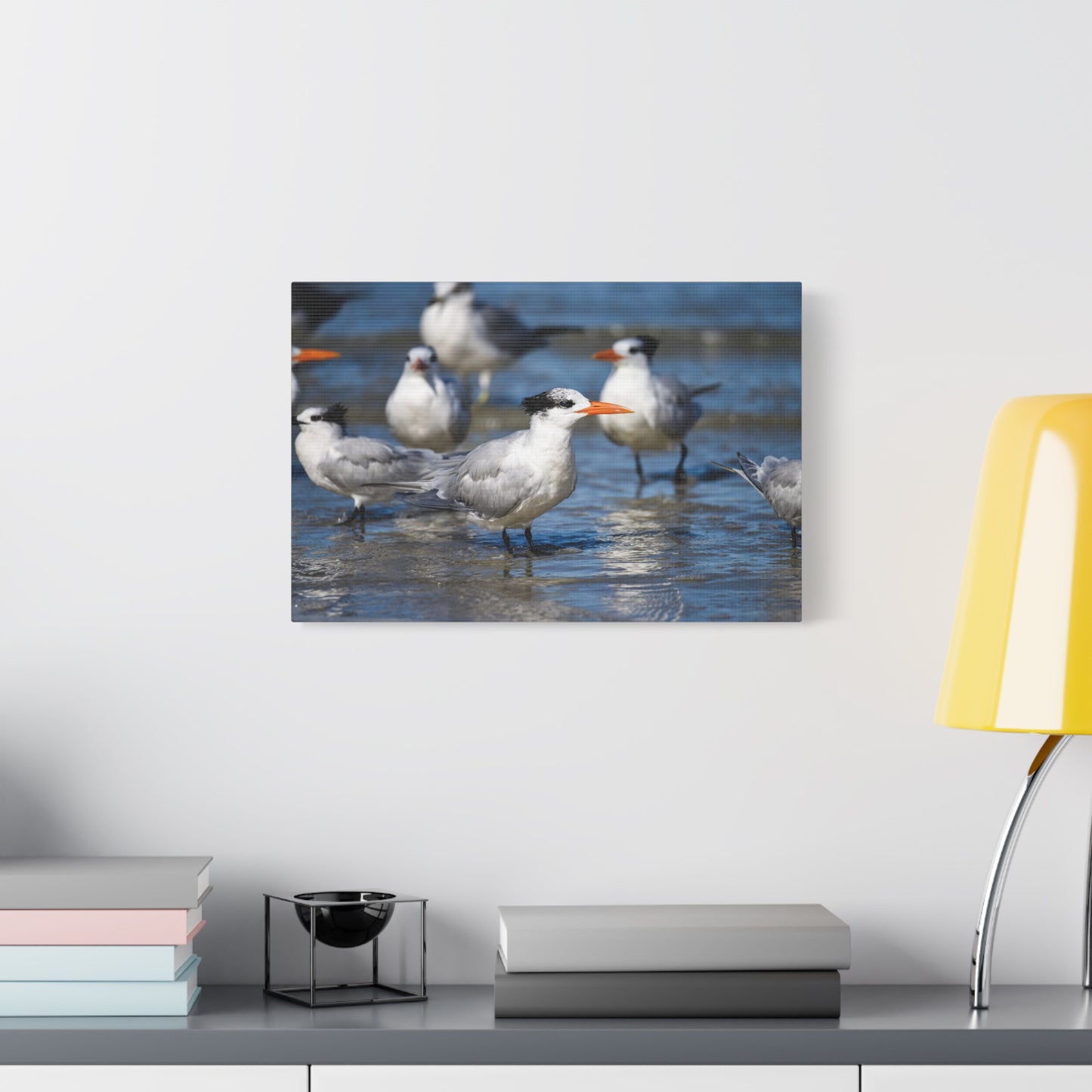 royal terns canvas print
