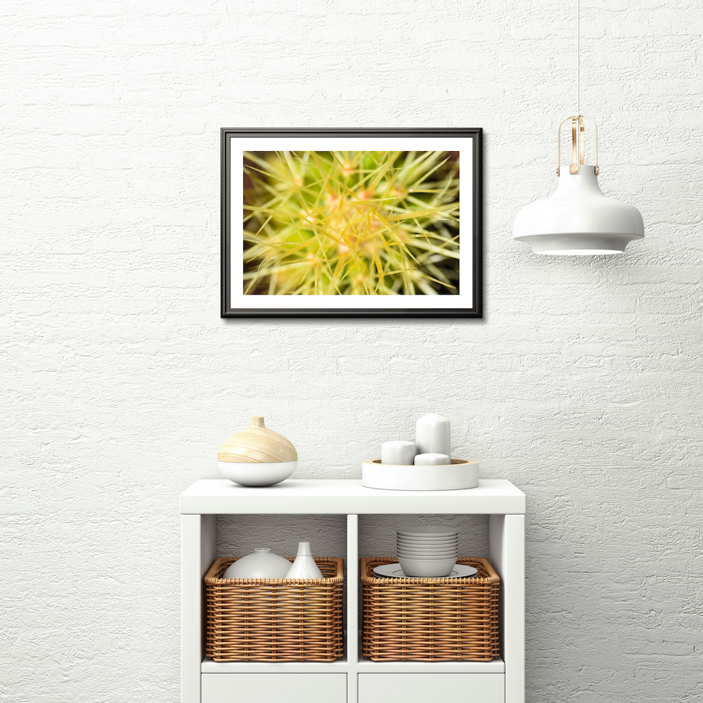 abstract cactus archival print