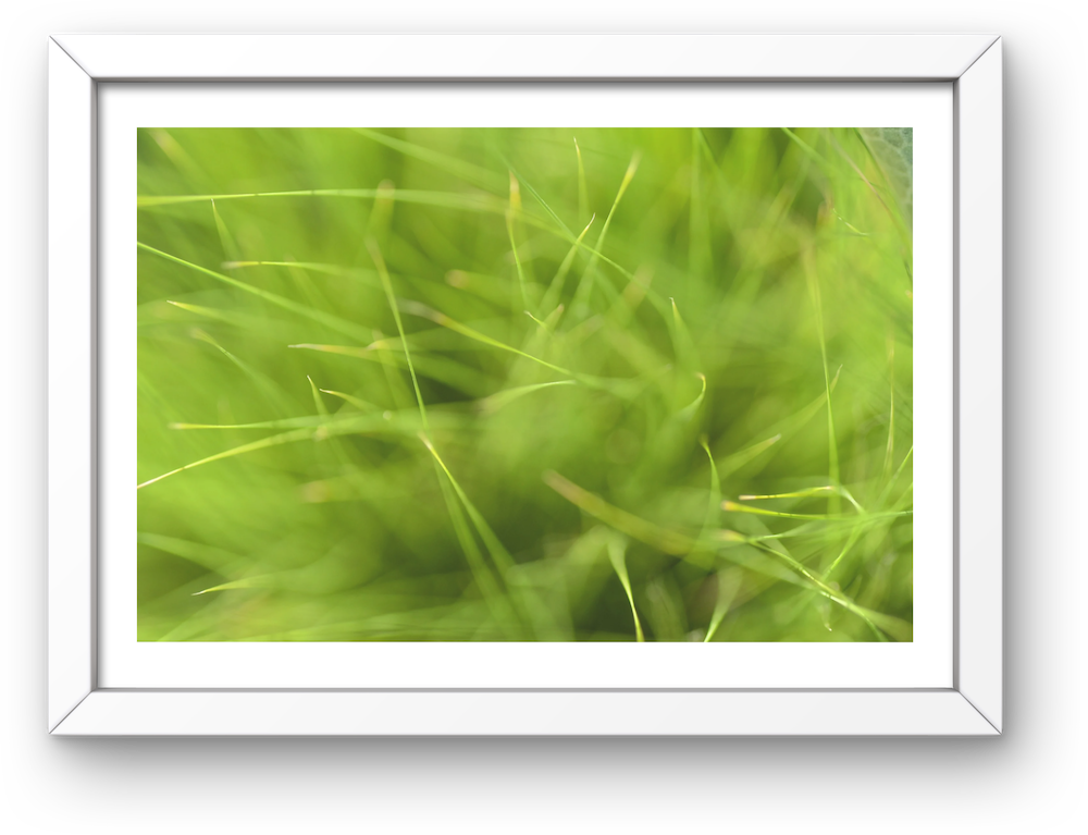 abstract grass archival print