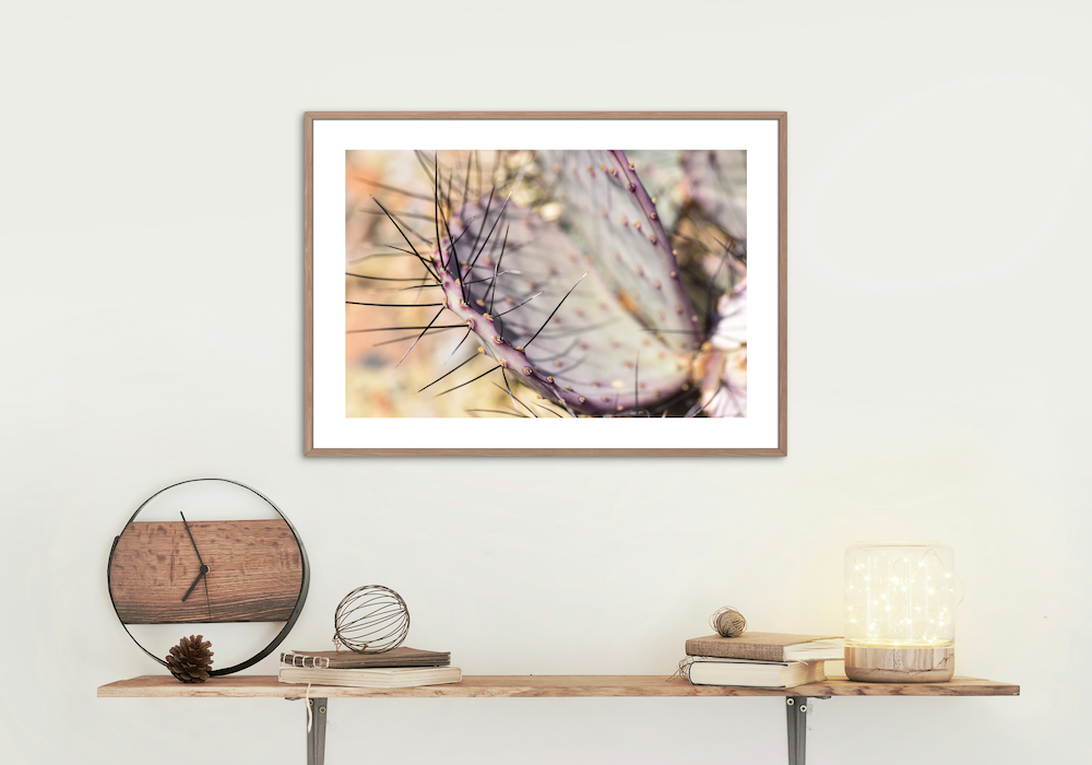 big bend cactus archival print