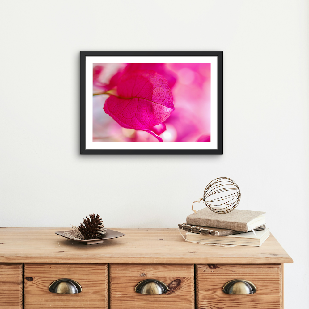 bougainvillea archival print