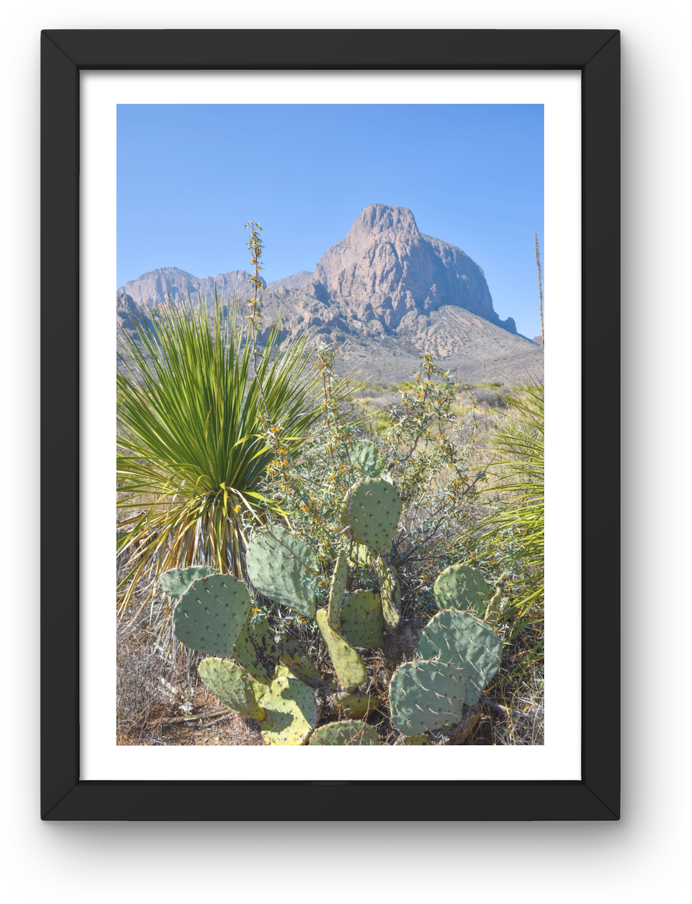 guadalupe mountains archival print