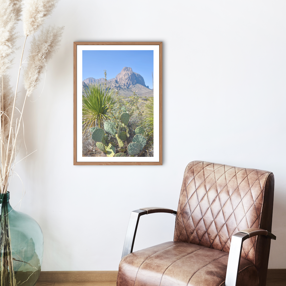 guadalupe mountains archival print
