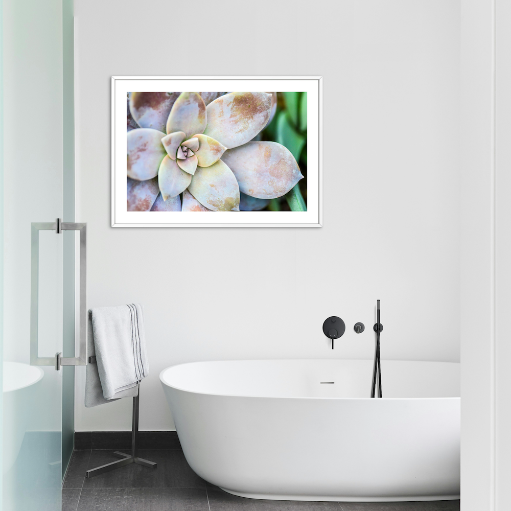 morning beauty archival print