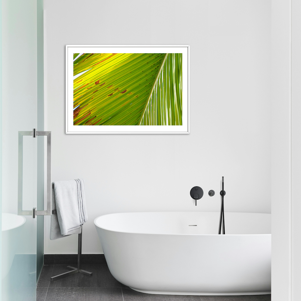 vibrant palm archival print