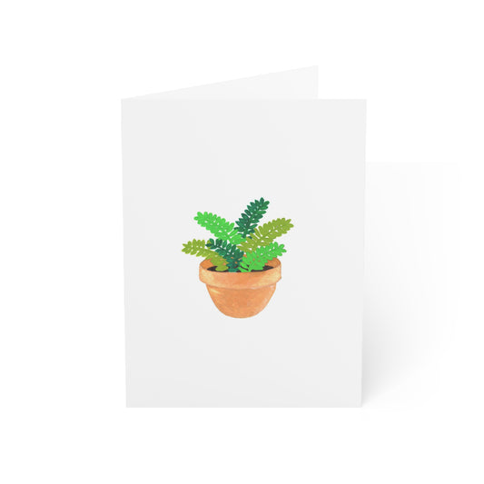 Succulent Greeting Card - Set of 10, 30, or 50