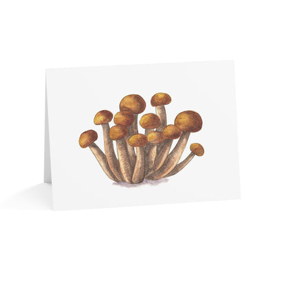 Mushroom Greeting Card - Set of 10, 30, or 50