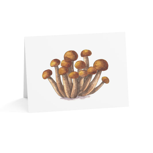Mushroom Greeting Card - Set of 10, 30, or 50