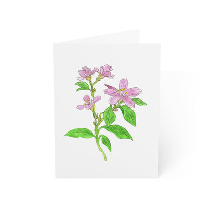 Jasmine Greeting Card - Set of 10, 30, or 50